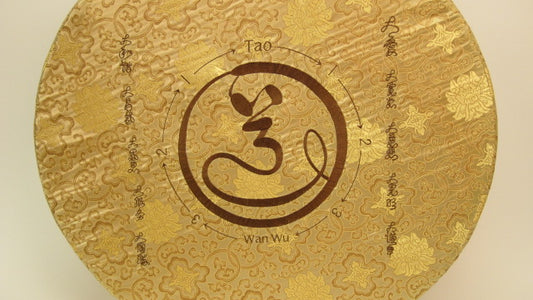 Tao Cushion Cover - Round