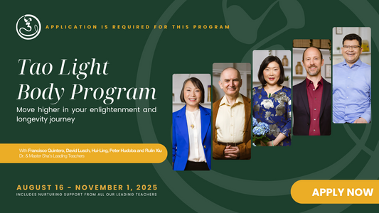 Tao Light Body Program - Installment Option