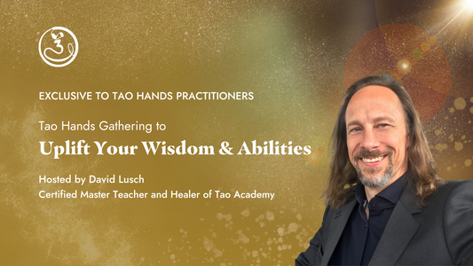 Tao Hands Practitioner Rassemblement pour élever votre sagesse et vos capacités