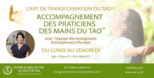 Session d'accompagnement des Praticiens des Mains du Tao Francophonie