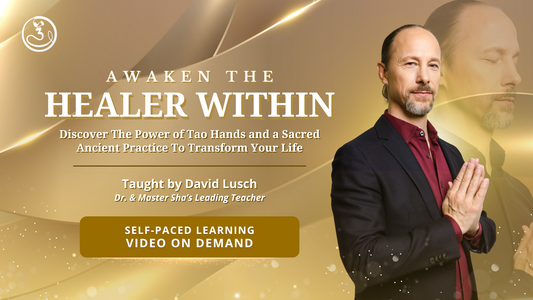 Awaken the Healer Within – Video on Demand