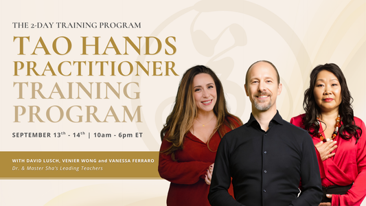 Tao Hands Practitioner Training Program
