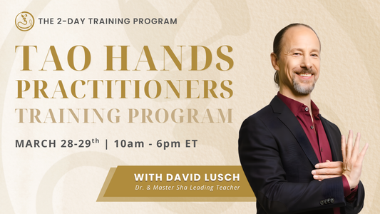 Tao Hands Practitioner Training Program