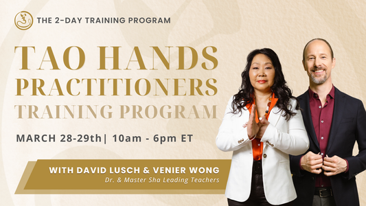 Tao Hands Practitioner Training Program