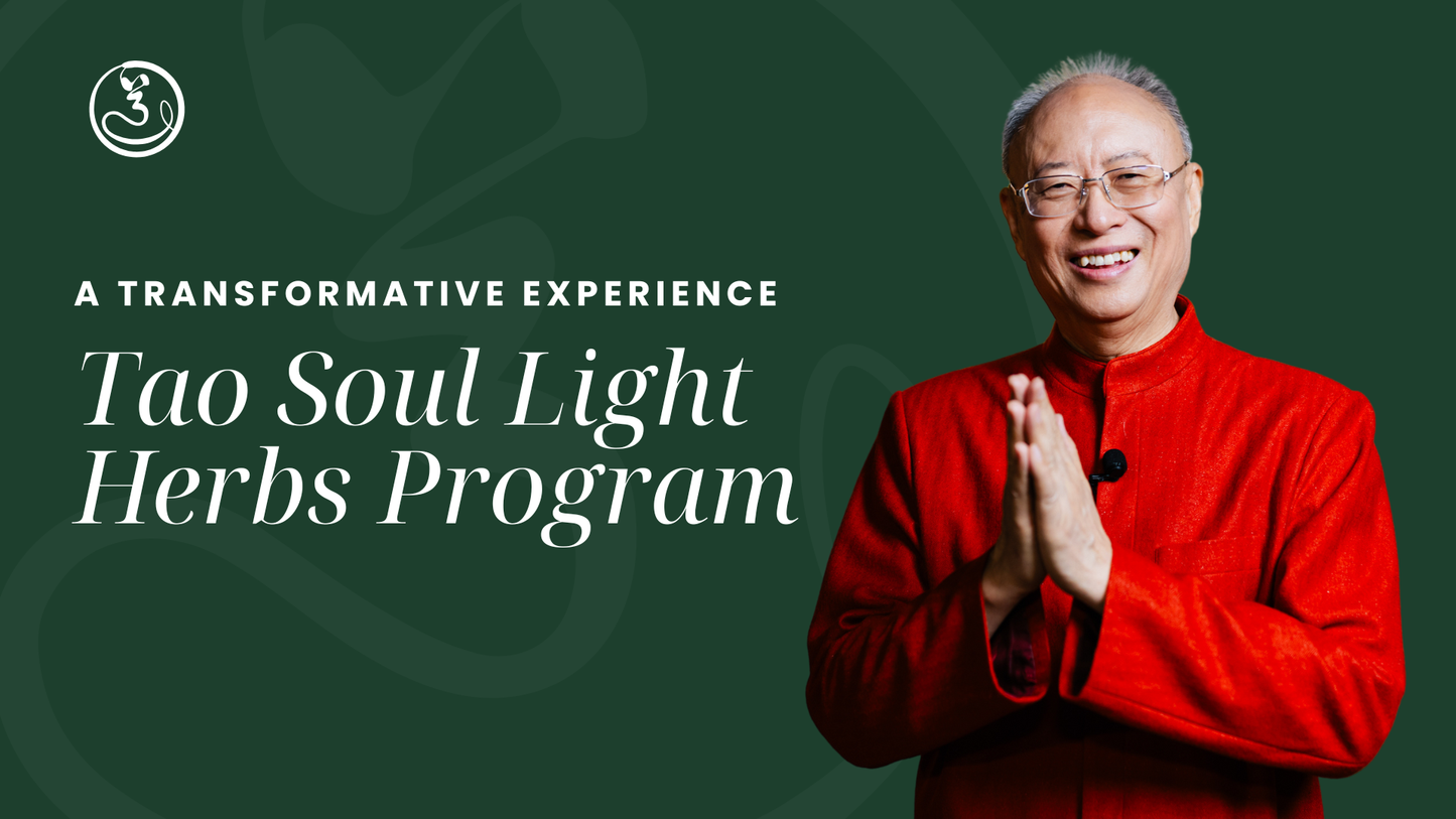 Tao Soul Light Herbs: Wan Fa Gui Jing - 12 Months