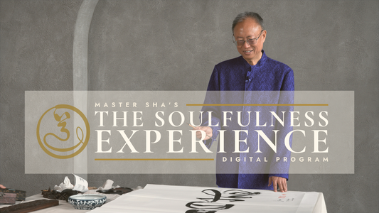 The Soulfulness Experience: Digital Course