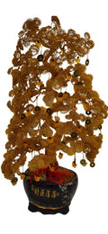 Money Tree Gold