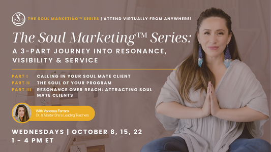 The Soul Marketing Series - Vanessa Ferraro