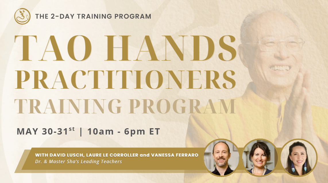 Tao Hands Practitioner Training Program