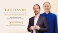 Tao Hands Practitioner Training