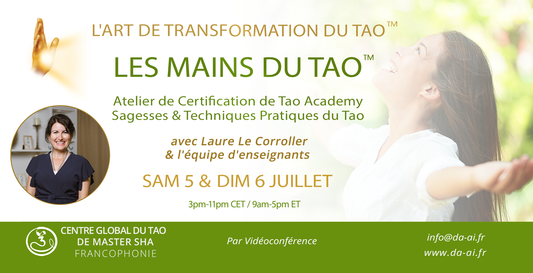 Atelier de formation des Praticiens des Mains du Tao