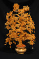 Money Tree Gold